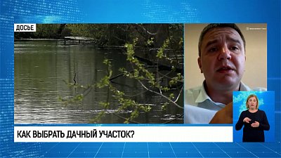 Как выбрать дачный участок?