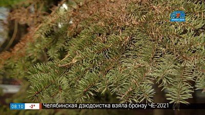 Руки садовода — Помогите хвойным весной. Это важно! Руки садовода — Помогите хвойным весной. Это важно!