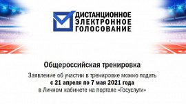 Южноуральцы смогут потренироваться в дистанционном голосовании Южноуральцы смогут потренироваться в дистанционном голосовании