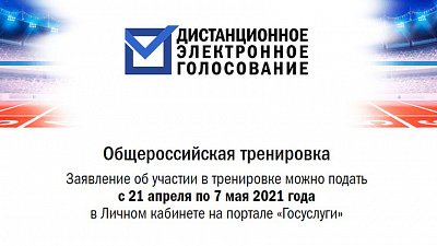 Южноуральцы смогут потренироваться в дистанционном голосовании