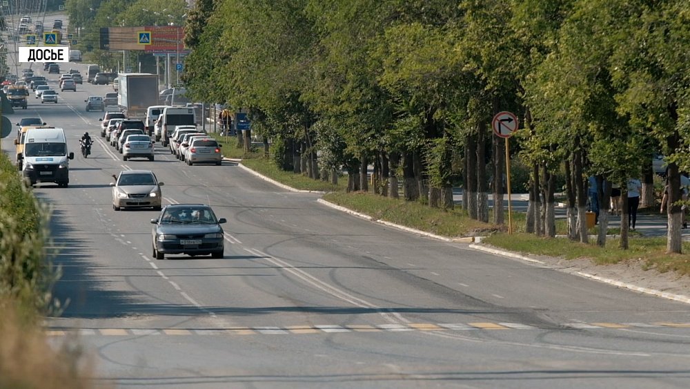 В Златоусте объявили карантин по бешенству