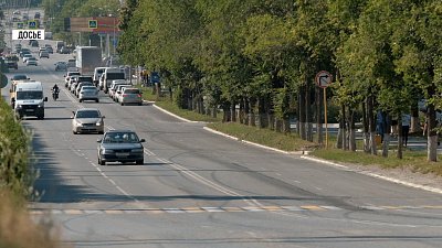 В Златоусте объявили карантин по бешенству