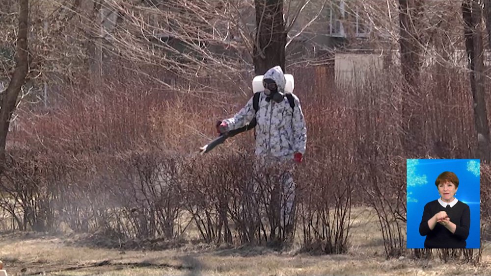 Началась обработка от клещей