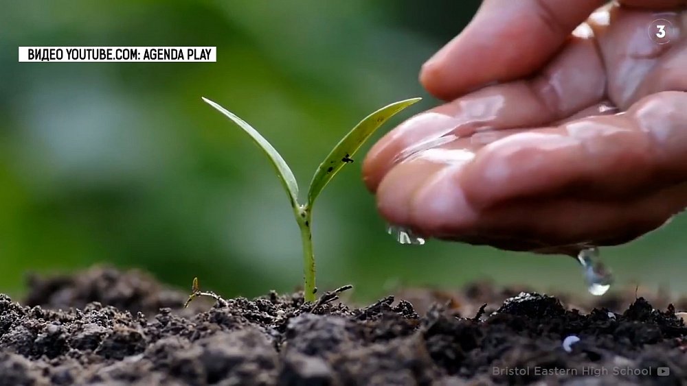 Южноуральцы присоединились к акции «День Земли»
