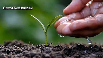 Южноуральцы присоединились к акции «День Земли»