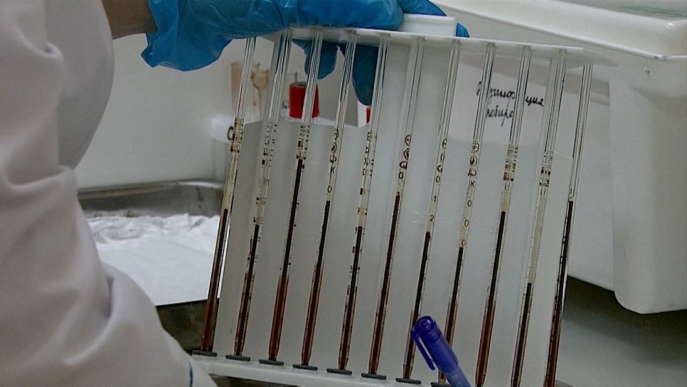 О здоровье 24.04.2021