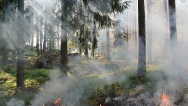 В Челябинской области ввели противопожарный режим с 1 мая В Челябинской области ввели противопожарный режим с 1 мая