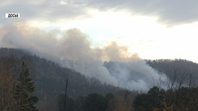 В Челябинской области введен особый противопожарный режим