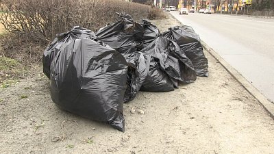 В Миассе проходит всероссийский субботник