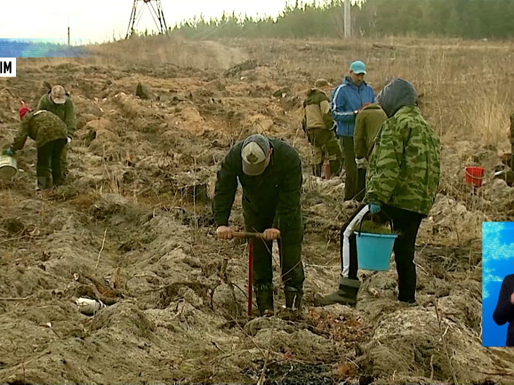 кыштымский рабочий газета. акции кыштыма. акции кыштыма. удачной акции. кыштымская газета.