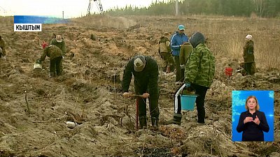 Акция «Сад памяти» стартовала в Кыштыме