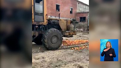 Полтонны яблок уничтожили на Южном Урале