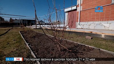 Руки садовода — Нродные приметы в помощь садоводам