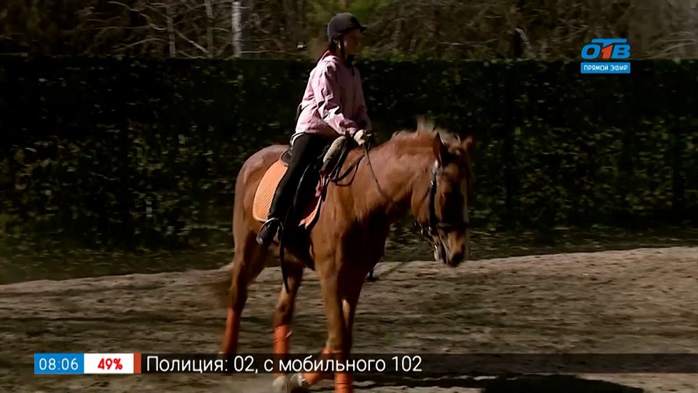 Спорт с пелёнок — Конный спорт