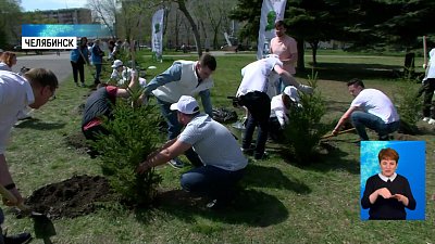 В Челябинске высадили ели в честь героев войны