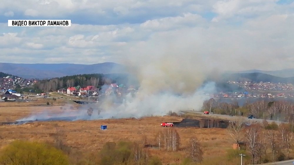 Горели в основном леса, камыш и сухая трава