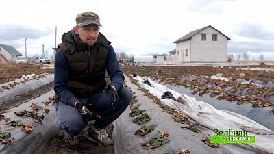 Зеленая передача 13.05.2021