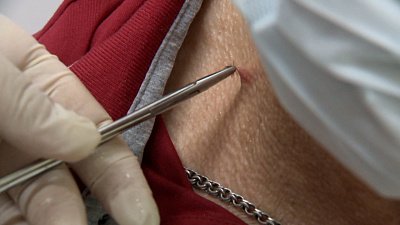 В Миассе участились случаи укусов клещей