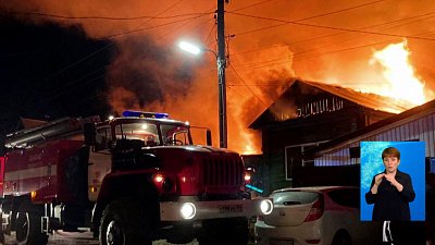 В Златоусте на пожаре погибла собака