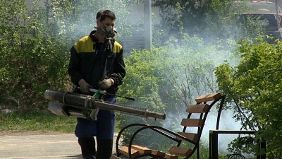 В Миассе началась обработка от клещей