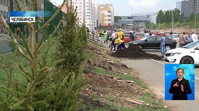 Школьники участвуют в конкурсе благоустройства