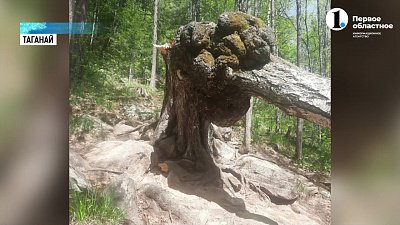 На Таганае упала Сова