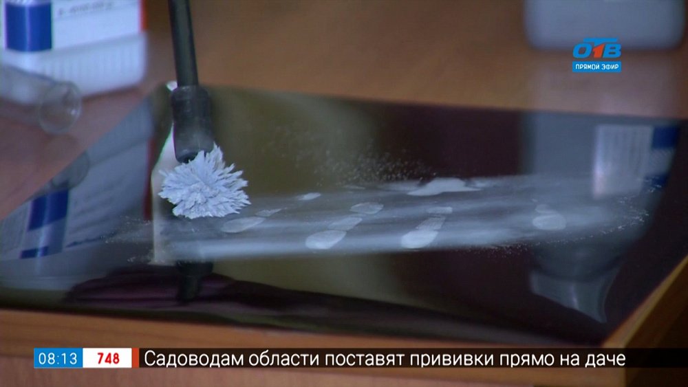 Сюжет «Редкая профессия — криминалист»