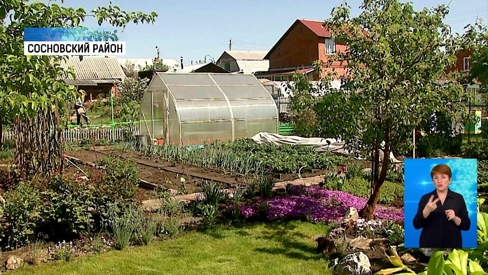 Как садоводы переживают жару?