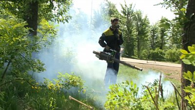 Коротко о главных темах недели