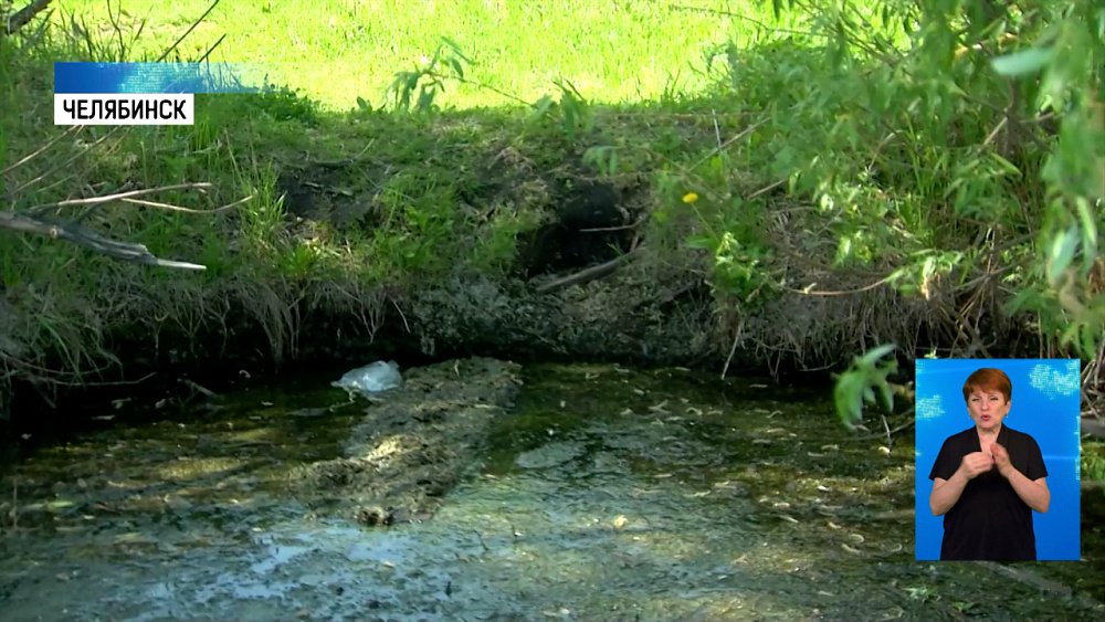 Неизвестные сливают нечистоты в Шершни