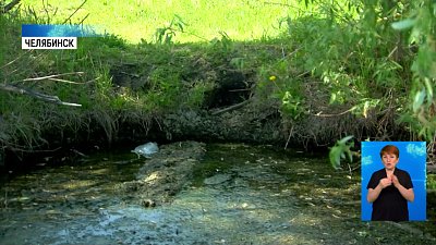 Неизвестные сливают нечистоты в Шершни