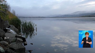 Спасатели ищут мужчину в городском пруду