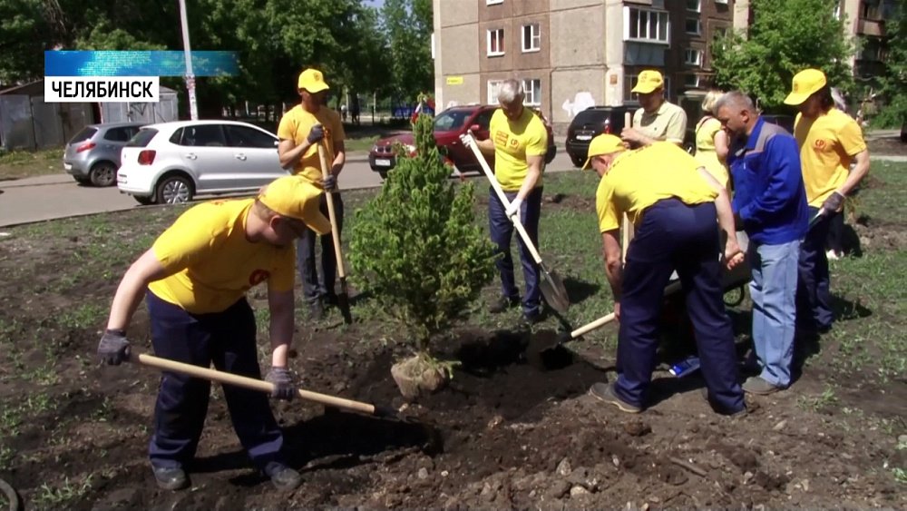 Южноуральцы занялись озеленением дворов