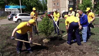 Южноуральцы занялись озеленением дворов