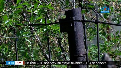 Сюжет «Садовые границы»