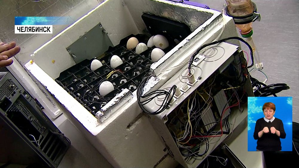 В кванториуме прошло «Технодефиле»