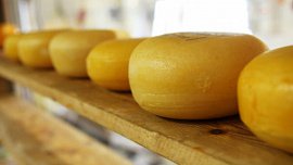 Южноуральские производители оценили расходы на маркировку сыра и мороженого Южноуральские производители оценили расходы на маркировку сыра и мороженого