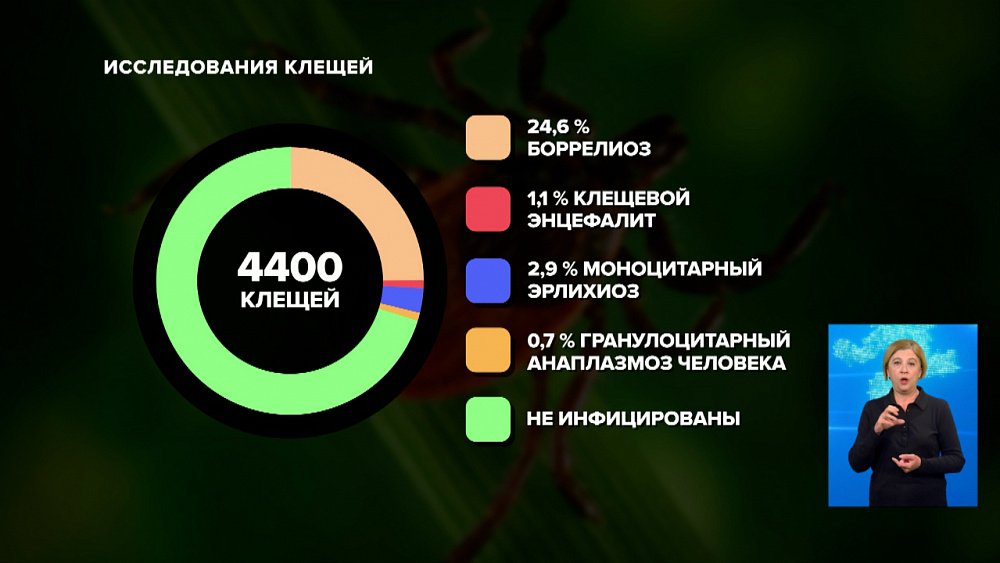 Случаи укусов клещей на Южном Урале