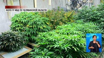 Полицейские изъяли 35 кг наркотиков