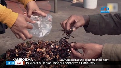 Сюжет — Самые экстремальные блюда