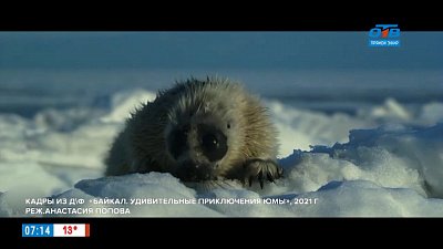 Идём в кино — киноновинки с 3 июня 2021г.