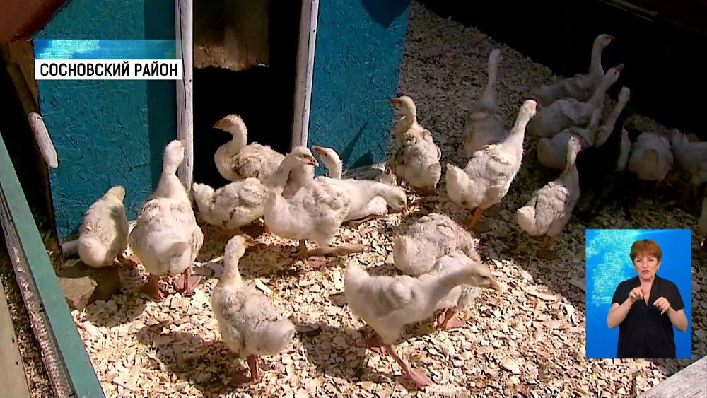 Как развивается агротуризм в регионе?