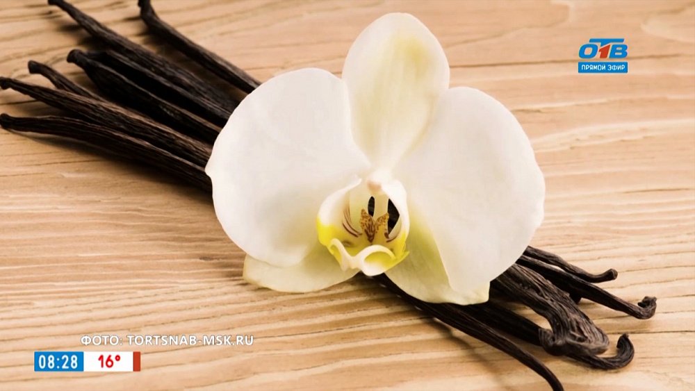 Ароматное утро — ароматы для гармонии в личной жизни