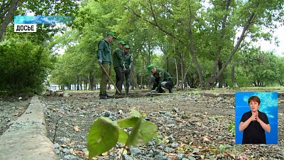 На какую работу могут устроиться школьники?