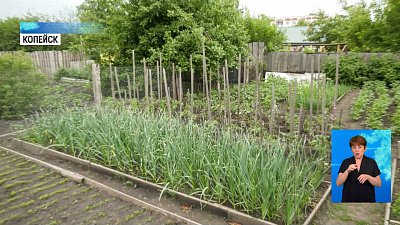 В Копейске отдельно платят за полив огорода