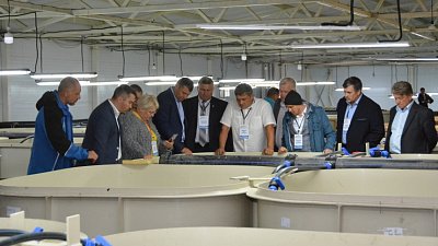 В Челябинской области создали ассоциацию рыбоводных хозяйств