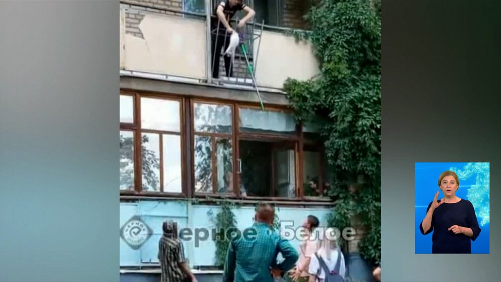 Магнитогорцы спасли кошку