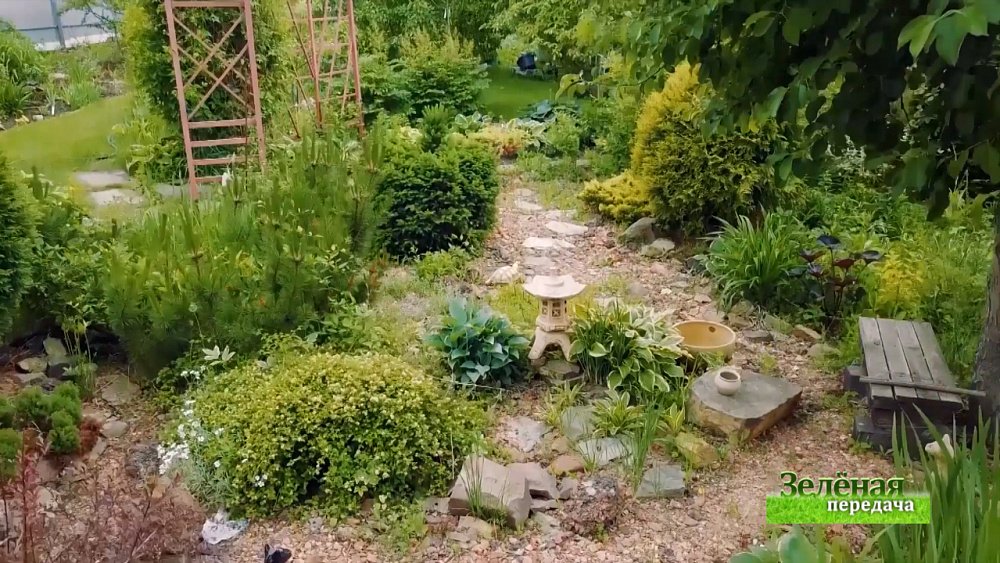 Зеленая передача 17.06.2021