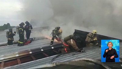 Во время пожара сгорели 200 тысяч куриц