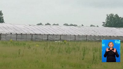 Полицейские проверили иностранцев в теплицах